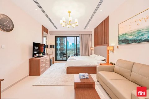 Appartement de Studio à Downtown Dubai (Downtown Burj Dubai), UAE No. 144313