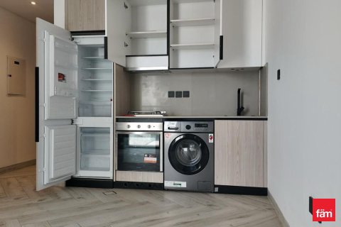 Studio Apartment in Dubai, UAE No. 169520