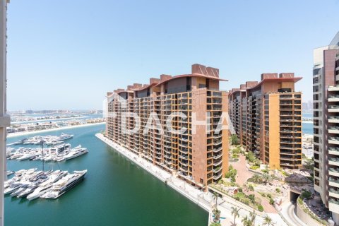 2 bedrooms Apartment in Marina Residences, UAE No. 155622 14