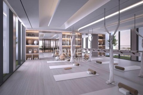 Квартира с 1 спальней в Liwan, ОАЭ №209426 24