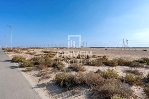 Land de 987.09m² à Jebel Ali, UAE No. 191077 7