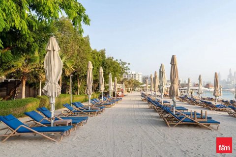 Квартира 50.4м²  №120432 6