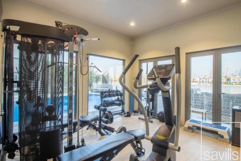 6 غرفة نوم  فيلا في نخلة جميرا, الإمارات العربية المتحدة رقم 136747 24