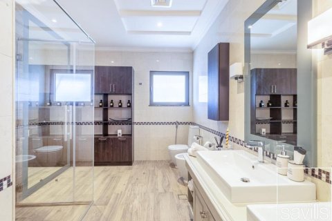 6 غرفة نوم  فيلا في نخلة جميرا, الإمارات العربية المتحدة رقم 136747 18