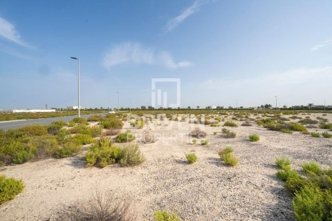 Land de 1013.67m² à Jebel Ali, UAE No. 206435 5