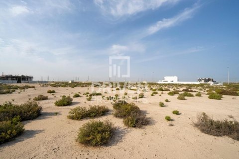 Land de 1013.67m² à Jebel Ali, UAE No. 206435 4