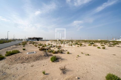 Land de 1013.67m² à Jebel Ali, UAE No. 206435 8
