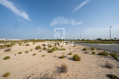 Land de 1013.67m² à Jebel Ali, UAE No. 206435 7