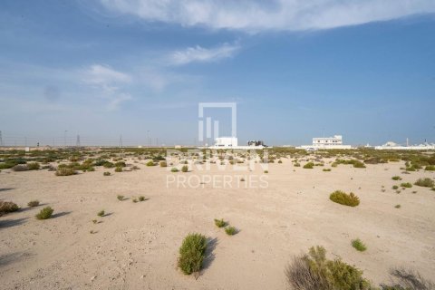 Land de 1013.67m² à Jebel Ali, UAE No. 206435 11