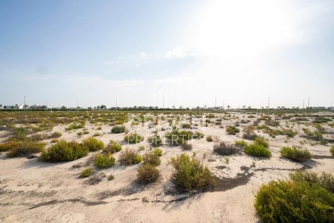 Land de 1013.67m² à Jebel Ali, UAE No. 206435