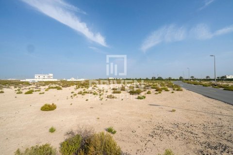 Land de 1013.67m² à Jebel Ali, UAE No. 206435 10