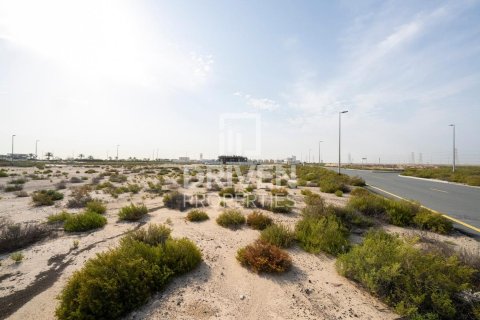 Land de 1013.67m² à Jebel Ali, UAE No. 206435 3