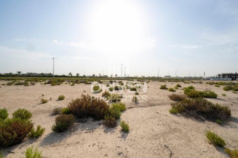 Land de 1013.67m² à Jebel Ali, UAE No. 206435 9