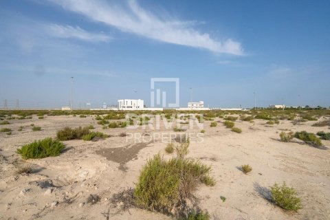 Land de 1013.67m² à Jebel Ali, UAE No. 206435 6