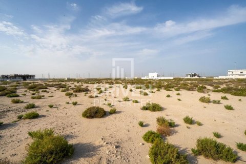 Land de 1013.76m² à Jebel Ali, UAE No. 206434 9