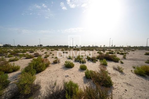 Land de 1013.76m² à Jebel Ali, UAE No. 206434 8