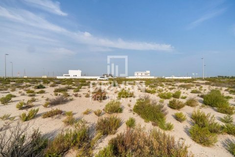 Land de 1013.76m² à Jebel Ali, UAE No. 206434 6