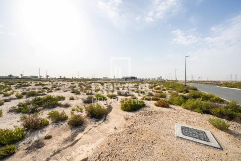 Land de 1013.76m² à Jebel Ali, UAE No. 206434 4