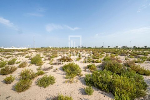 Land de 1013.76m² à Jebel Ali, UAE No. 206434 5