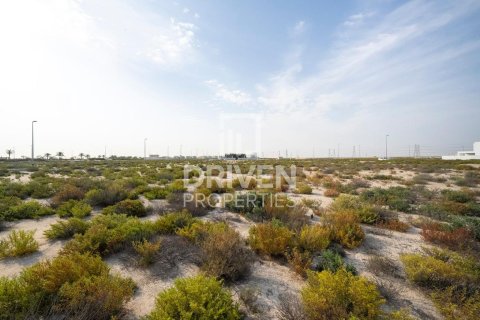 Land de 1013.76m² à Jebel Ali, UAE No. 206434 11