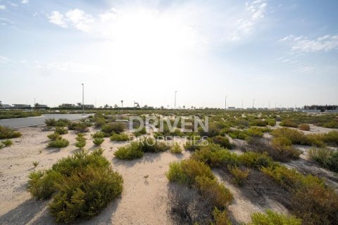 Land de 1013.76m² à Jebel Ali, UAE No. 206434 12