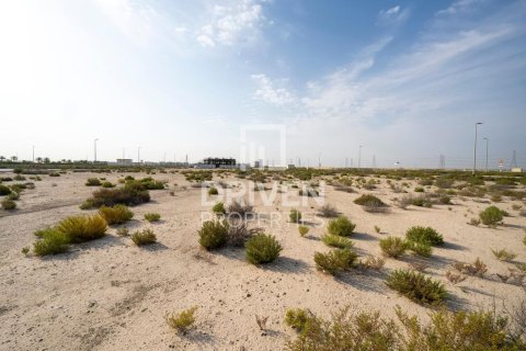 Land de 1013.76m² à Jebel Ali, UAE No. 206434 7