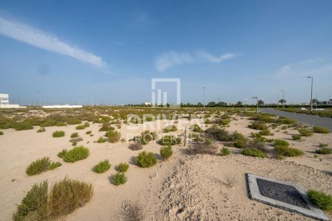 Land de 1013.76m² à Jebel Ali, UAE No. 206434 10