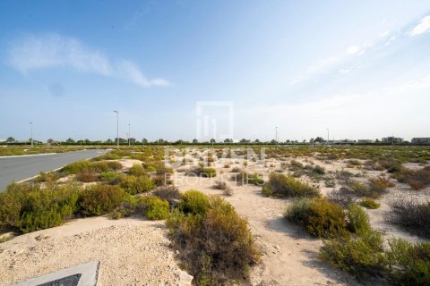Land de 1013.76m² à Jebel Ali, UAE No. 206434 13