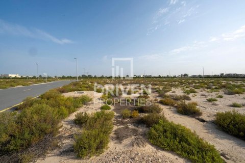 Land de 1013.76m² à Jebel Ali, UAE No. 206434