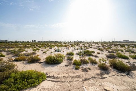 Land de 1013.76m² à Jebel Ali, UAE No. 206434 3