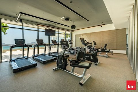Apartment de 112.1m² en Dubai Harbour, UAE No. 145418 11