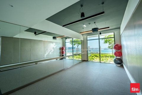 Apartment de 112.1m² en Dubai Harbour, UAE No. 145418 9