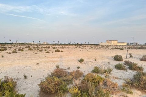 Land de 900m² en Jebel Ali, UAE No. 148114 5