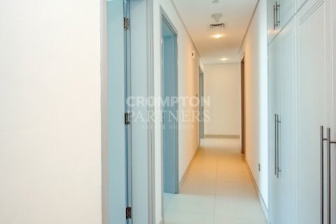 3 bedrooms Apartment in Tourist Club Area, UAE No. 4062 12