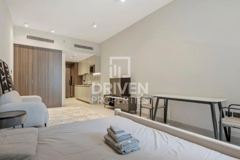 Studio Apartment in District 15, UAE No. 202118 10