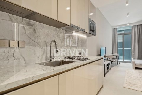 Studio Apartment in District 15, UAE No. 202118 8