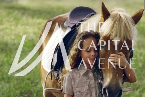 3 bedrooms Townhouse in Abu Dhabi, UAE No. 136981 15