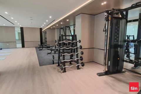 38m² Apartment in Dubai, UAE No. 169825 15