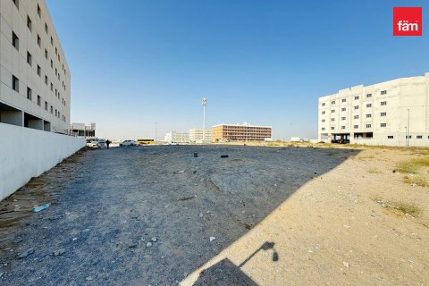 Land de 1812.9m² à Dubai, UAE No. 144278 17