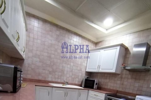 1 bedroom Apartment in Al Hamra Village, UAE No. 165043 10
