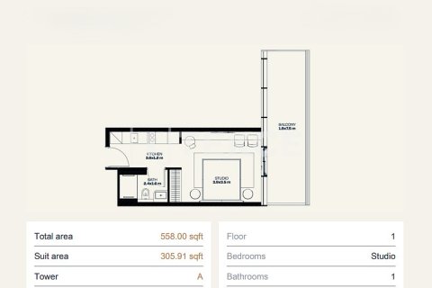 Studio Apartment in Dubai, UAE No. 172219 24