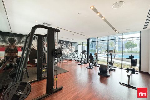 49.7m² Apartment in Downtown Dubai (Downtown Burj Dubai), UAE No. 143620 18