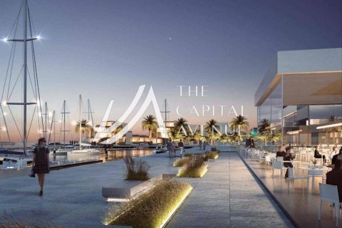 6 bedrooms Villa in Abu Dhabi, UAE No. 86538 3