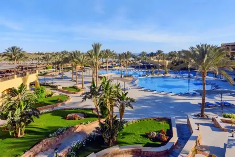 Penthouse de 2 chambres No. 135025 2