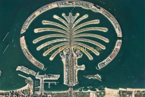 2475m² Land in Palm Jebel Ali, UAE No. 78535 5