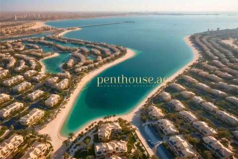 2475m² Land in Palm Jebel Ali, UAE No. 78535 10