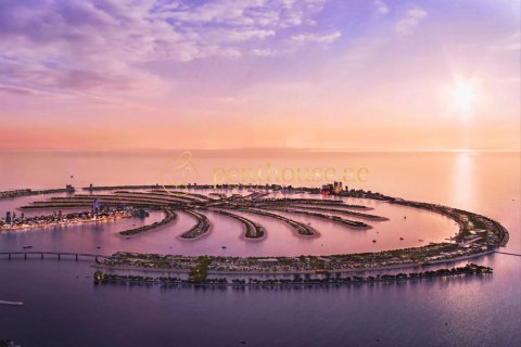 2475m² Land in Palm Jebel Ali, UAE No. 78535 9