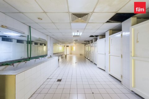 3290.7مربع، Properties  رقم 123357 13