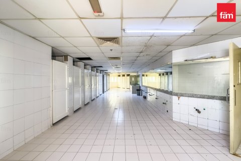 3290.7مربع، Properties  رقم 123357 7