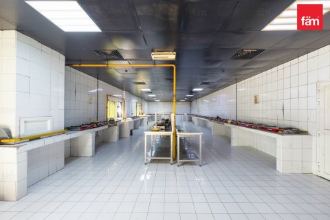 3290.7مربع، Properties  رقم 123357 12